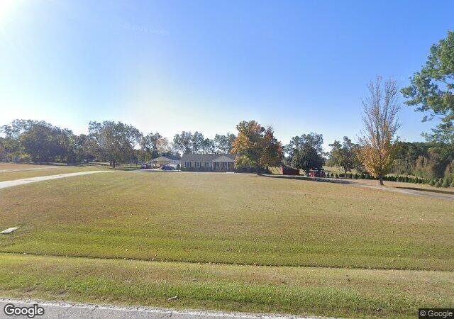 Aisles of Christmas Tree Farm in Winnsboro, SC