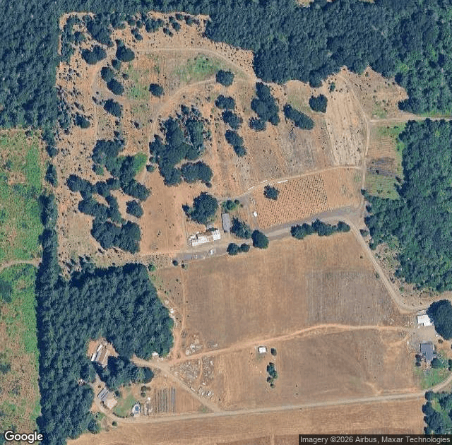 Aerial view of Al's Hidden Valley Tree Farm in Elmira, OR