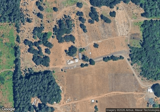 Aerial view of Al's Hidden Valley Tree Farm in Elmira, OR