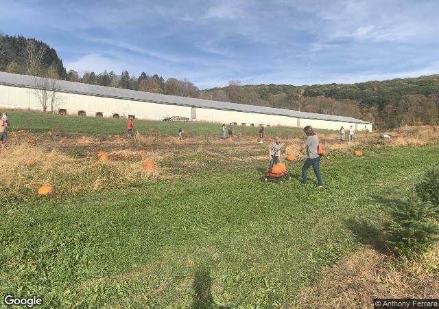 Angevine Farm in Warren, CT