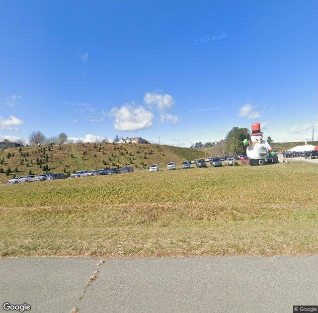 Appalachian Christmas Mountain Farms in Boone, NC