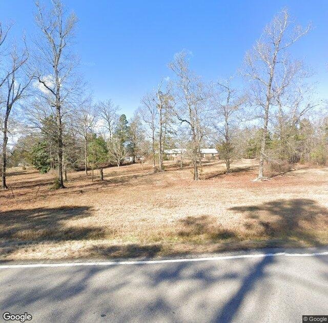 Bear Creek Tree Farm in Chapin, SC