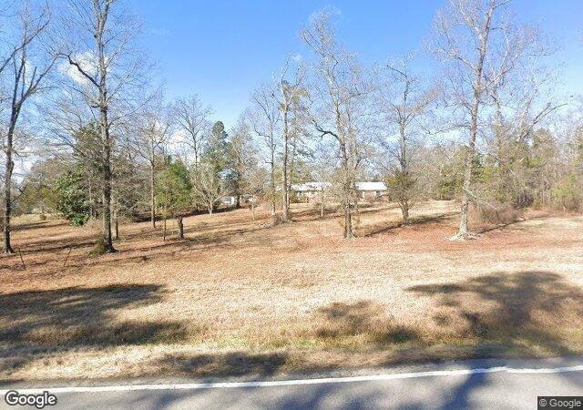Bear Creek Tree Farm in Chapin, SC