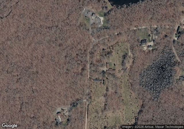 Aerial view of Bedrock Tree Farm in Wakefield, RI