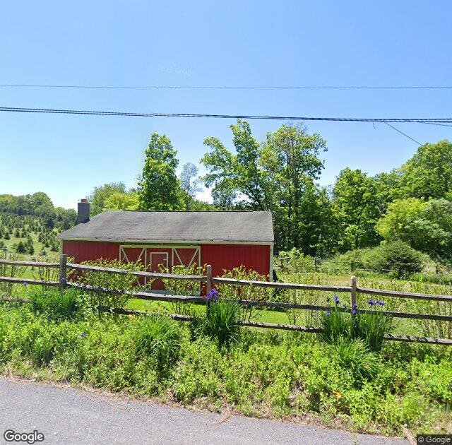 Beezup Christmas Tree Farm in Clarks Summit, PA
