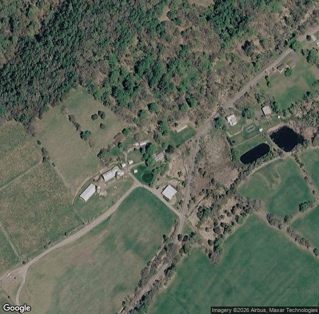 Aerial view of Bell's Christmas Trees in Accord, NY