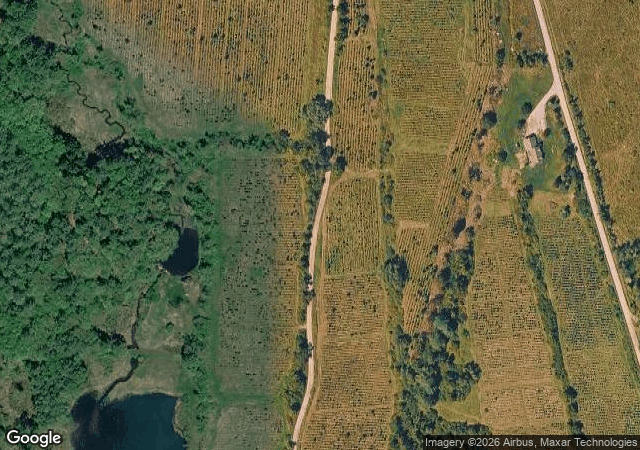 Aerial view of Christmas Trees at Bishop Farm in Springfield, VT