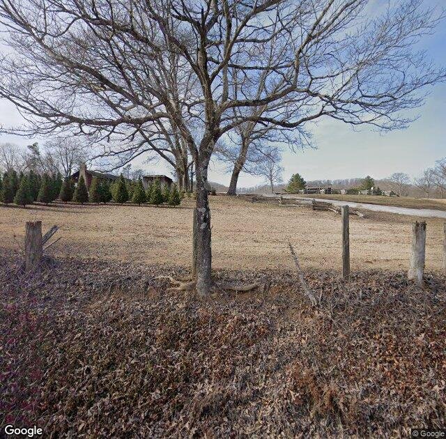 Bluebird Christmas Tree Farm in Heiskell, TN