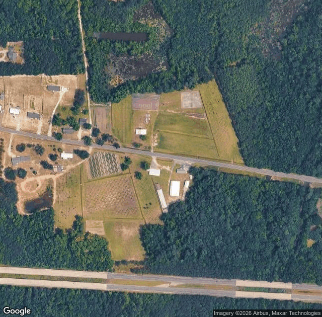 Aerial view of Booth's Christmas Tree Farm in Conway, SC