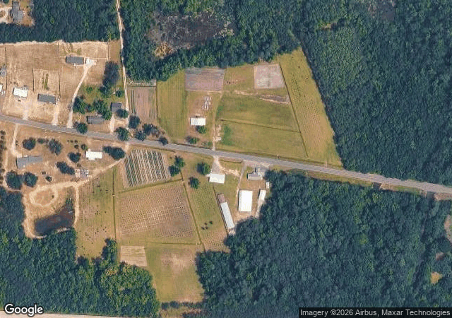 Aerial view of Booth's Christmas Tree Farm in Conway, SC