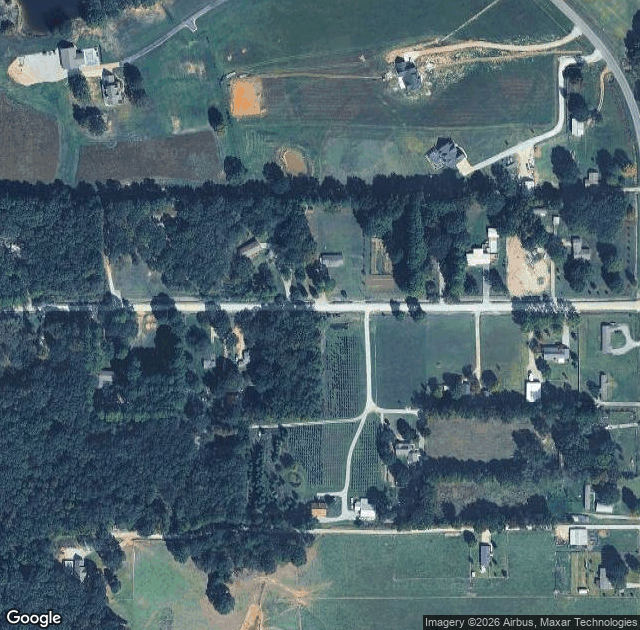 Aerial view of Christmas Tree Plantation in Jonesboro, AR