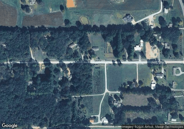 Aerial view of Christmas Tree Plantation in Jonesboro, AR
