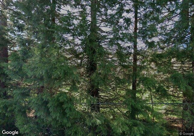 Coates Christmas Trees in Auburn, WA