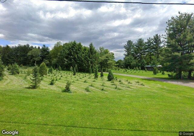 Country Cabin Tree Farm in Sunbury, OH