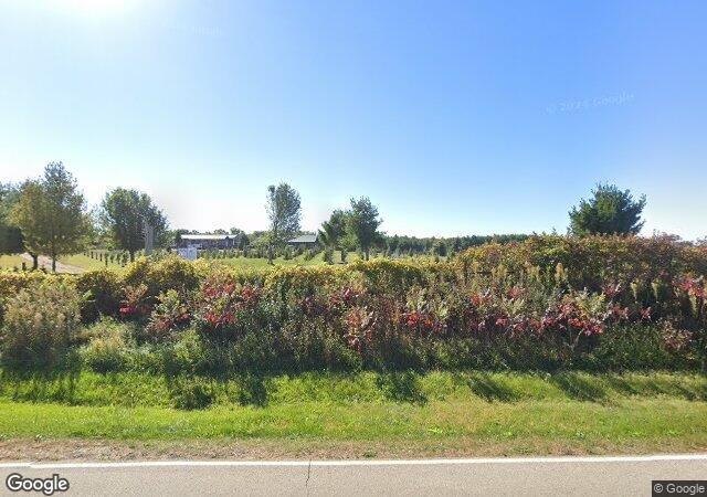 Country Side Trees in Walworth, WI