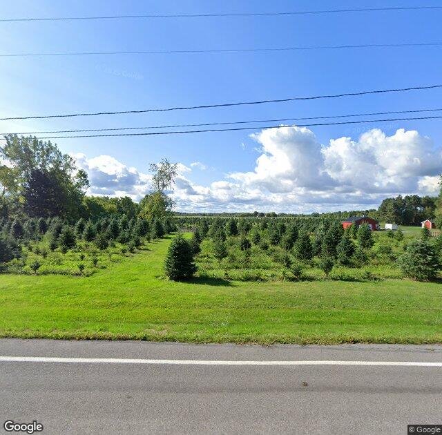 Crossen Christmas Tree Farm in Basom, NY