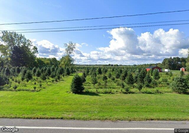 Crossen Christmas Tree Farm in Basom, NY