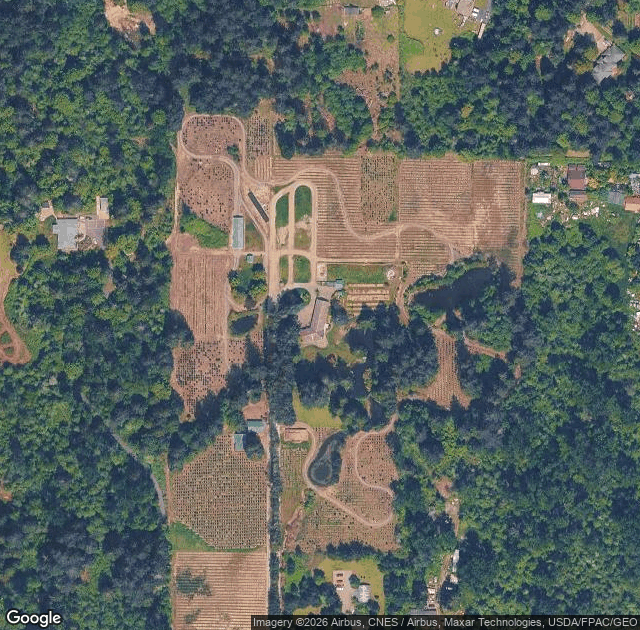 Aerial view of Crystal Creek Tree Farm in Maple Valley, WA