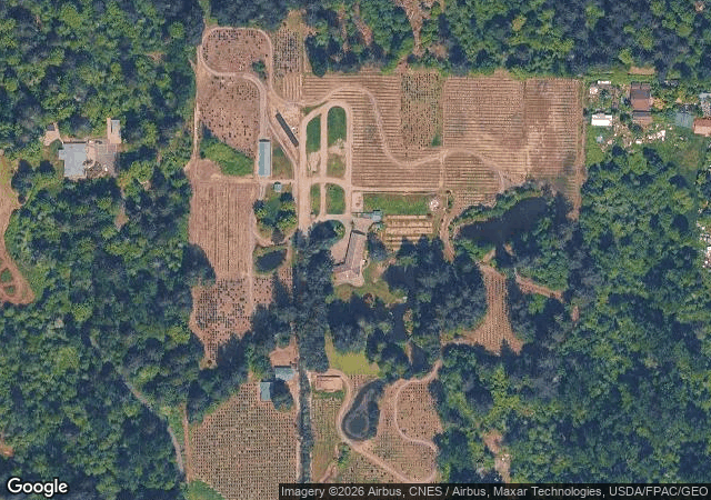 Aerial view of Crystal Creek Tree Farm in Maple Valley, WA