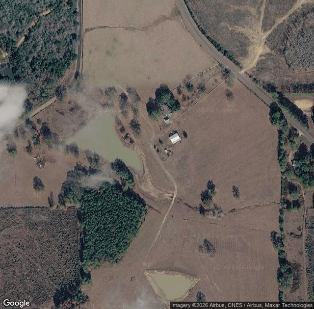 Aerial view of Cypress Fields Tree Farm in Bogue Chitto, MS