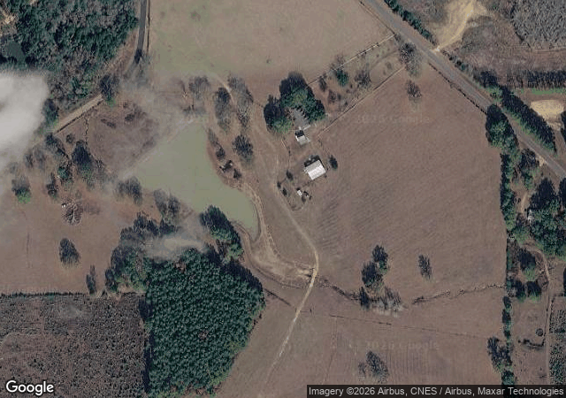 Aerial view of Cypress Fields Tree Farm in Bogue Chitto, MS