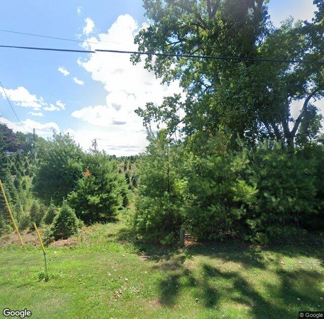 Darling's Tree Farm in Clifton Springs, NY