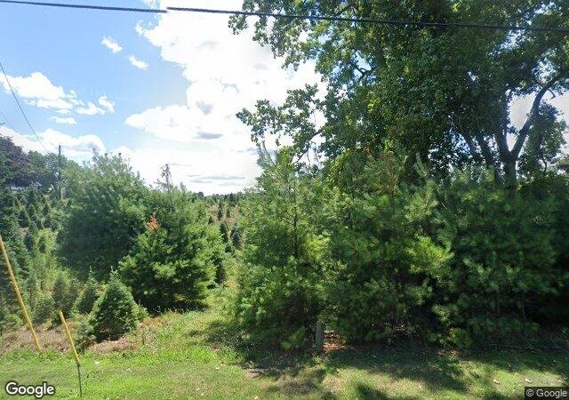 Darling's Tree Farm in Clifton Springs, NY