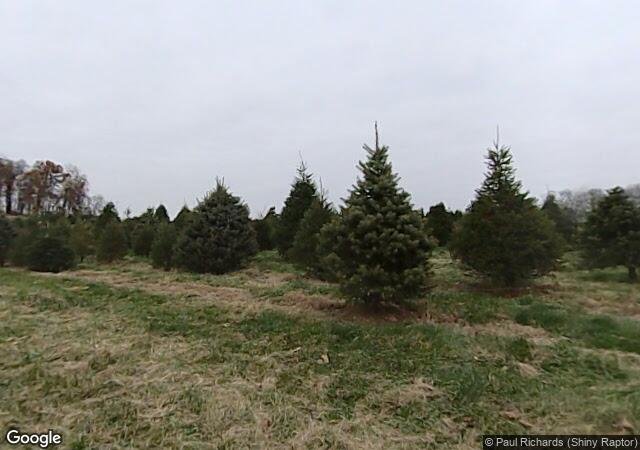 Davidson Christmas Tree Farm in Upperco, MD