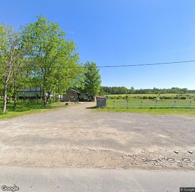 Dixieland Tree Farm in Irving, NY
