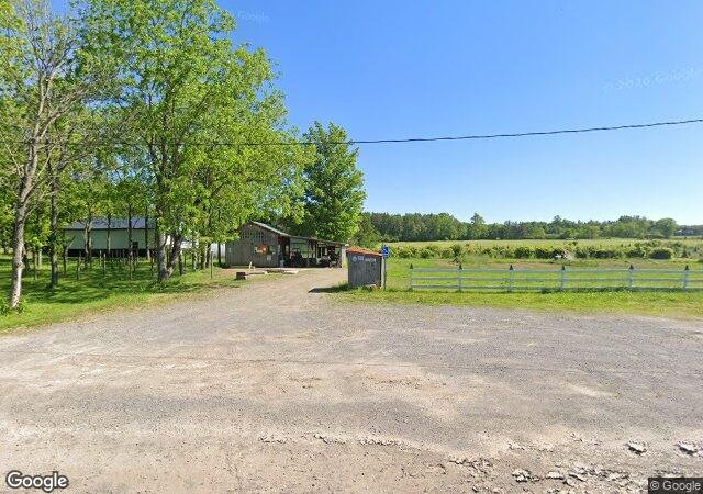 Dixieland Tree Farm in Irving, NY