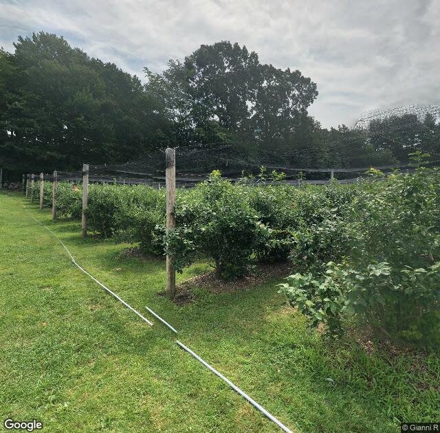 Doe Orchards in Harvard, MA