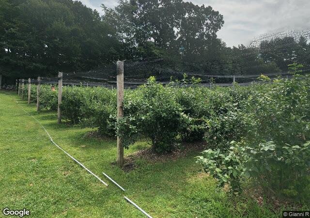 Doe Orchards in Harvard, MA