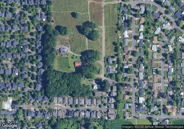 Aerial view of Donovan's Christmas Tree and Pottery in Corvallis, OR
