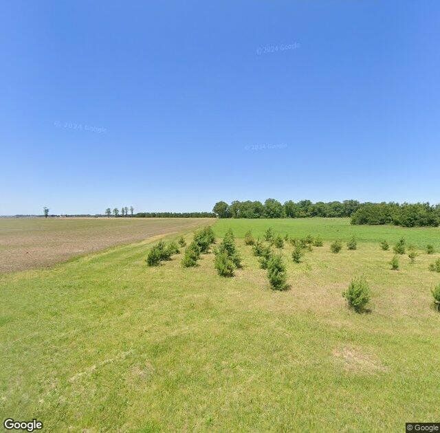 Egolf Christmas Trees in Wanatah, IN