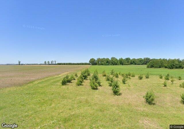 Egolf Christmas Trees in Wanatah, IN