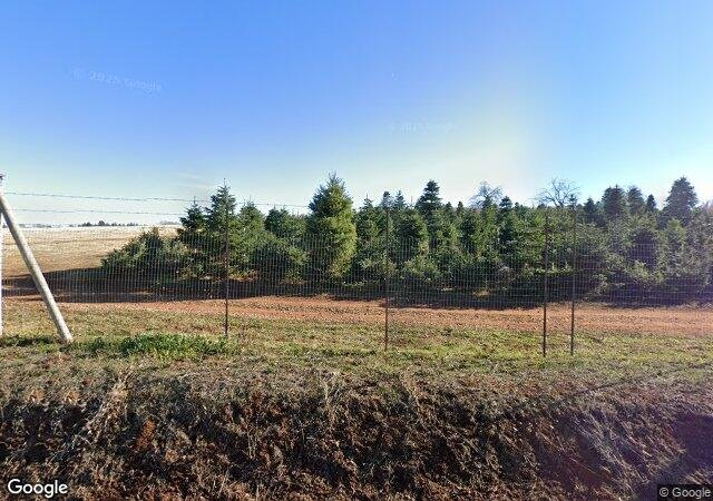 El Dorado Orchards Tree Farm in Camino, CA