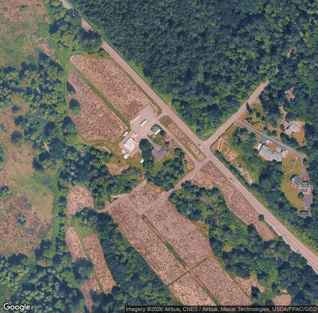 Aerial view of Enchanted Winds Tree Farm in Issaquah, WA
