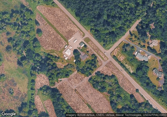 Aerial view of Enchanted Winds Tree Farm in Issaquah, WA