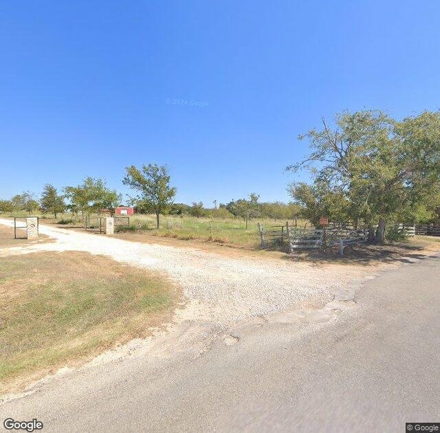 Evergreen Christmas Tree Farm in Elgin, TX