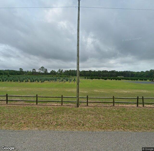 Fish River Trees in Summerdale, AL