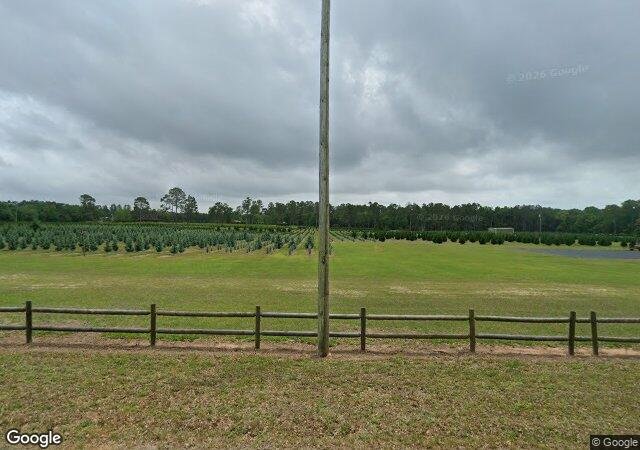 Fish River Trees in Summerdale, AL
