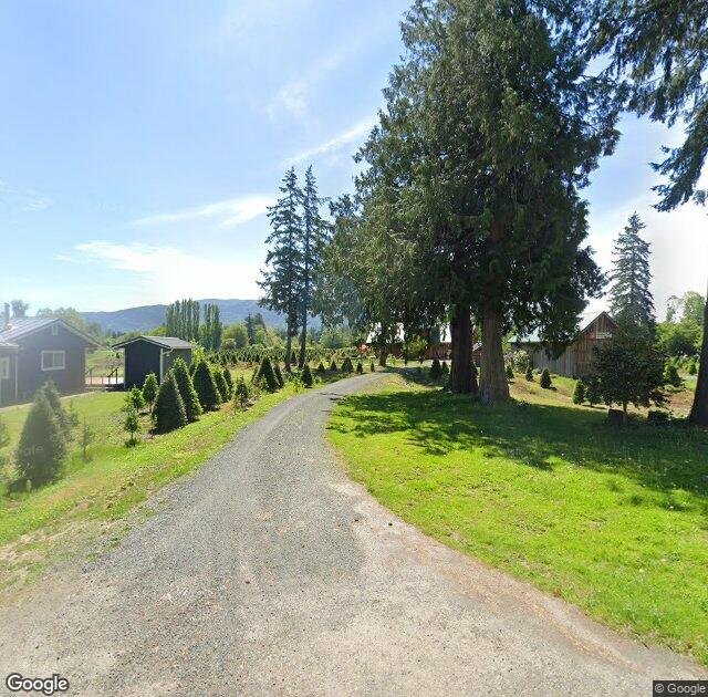 Fullner Christmas Tree Farm in Everson, WA