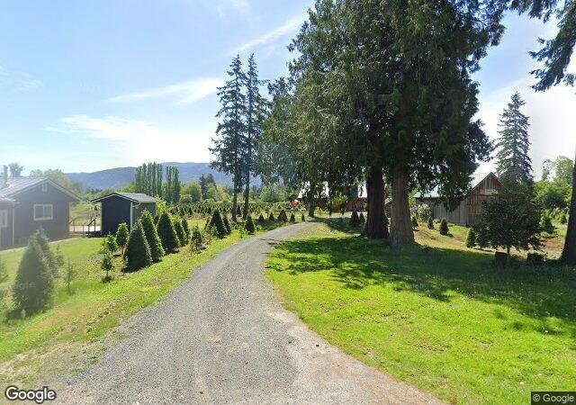Fullner Christmas Tree Farm in Everson, WA