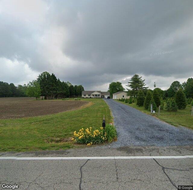 Gaines Christmas Tree Farm in Harrington, DE