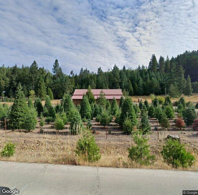 George's U-Cut Christmas Tree Farm in Azalea, OR