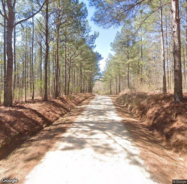 Gilbert Christmas Tree Farm in Lanett, AL