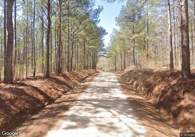 Gilbert Christmas Tree Farm in Lanett, AL