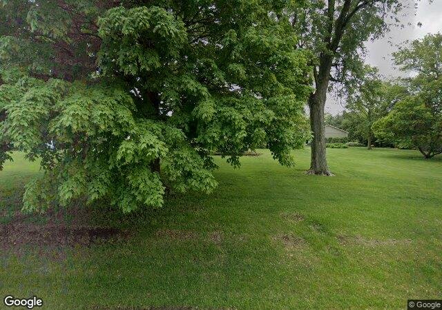 Gorman Tree Farm in Monee, IL