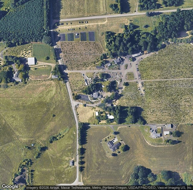 Aerial view of Helvetia Christmas Tree Farm in Hillsboro, OR
