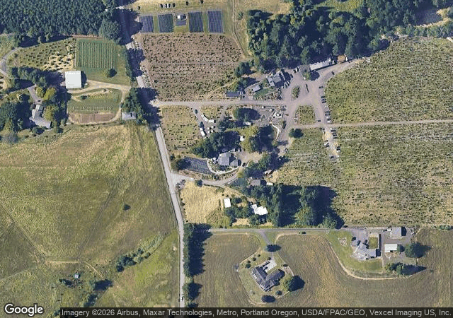 Aerial view of Helvetia Christmas Tree Farm in Hillsboro, OR